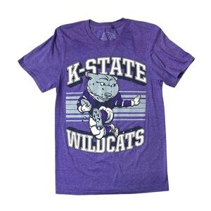 Bella Canvas Purple Wildcats Short Sleeve Graphic Team Logo Tee